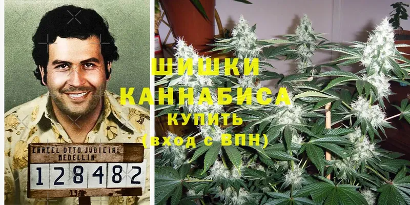 закладка  Полярный  Бошки Шишки Ganja 